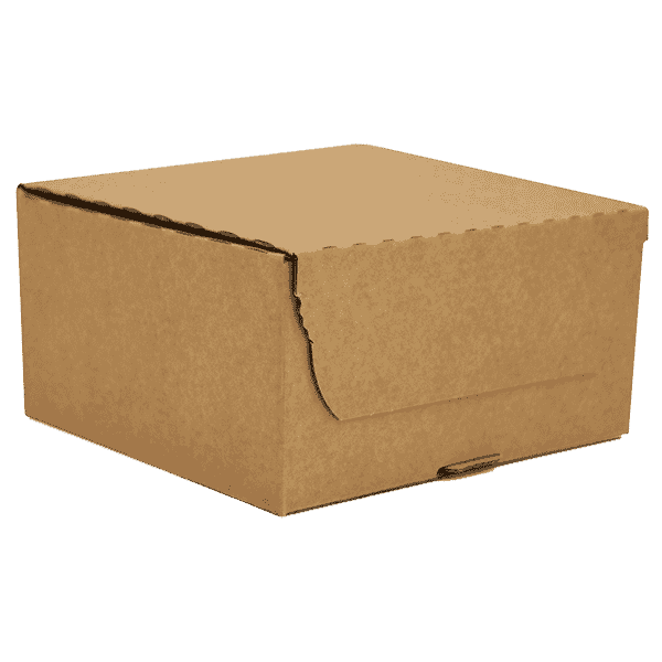 Brown E-Commerce Postal Box - 160x150x75mm
