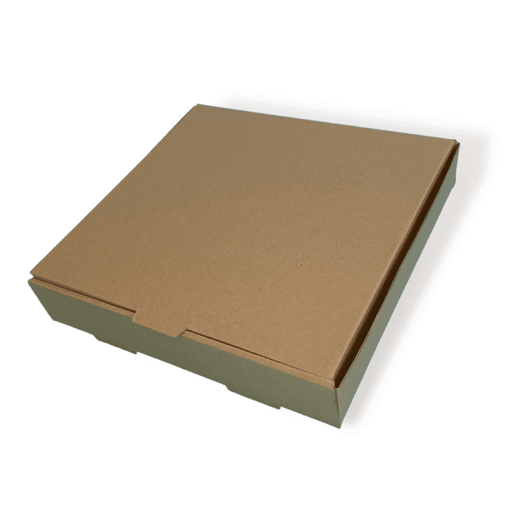 Brown 9" (Inch) Takeaway Pizza Box - 229x229x38mm